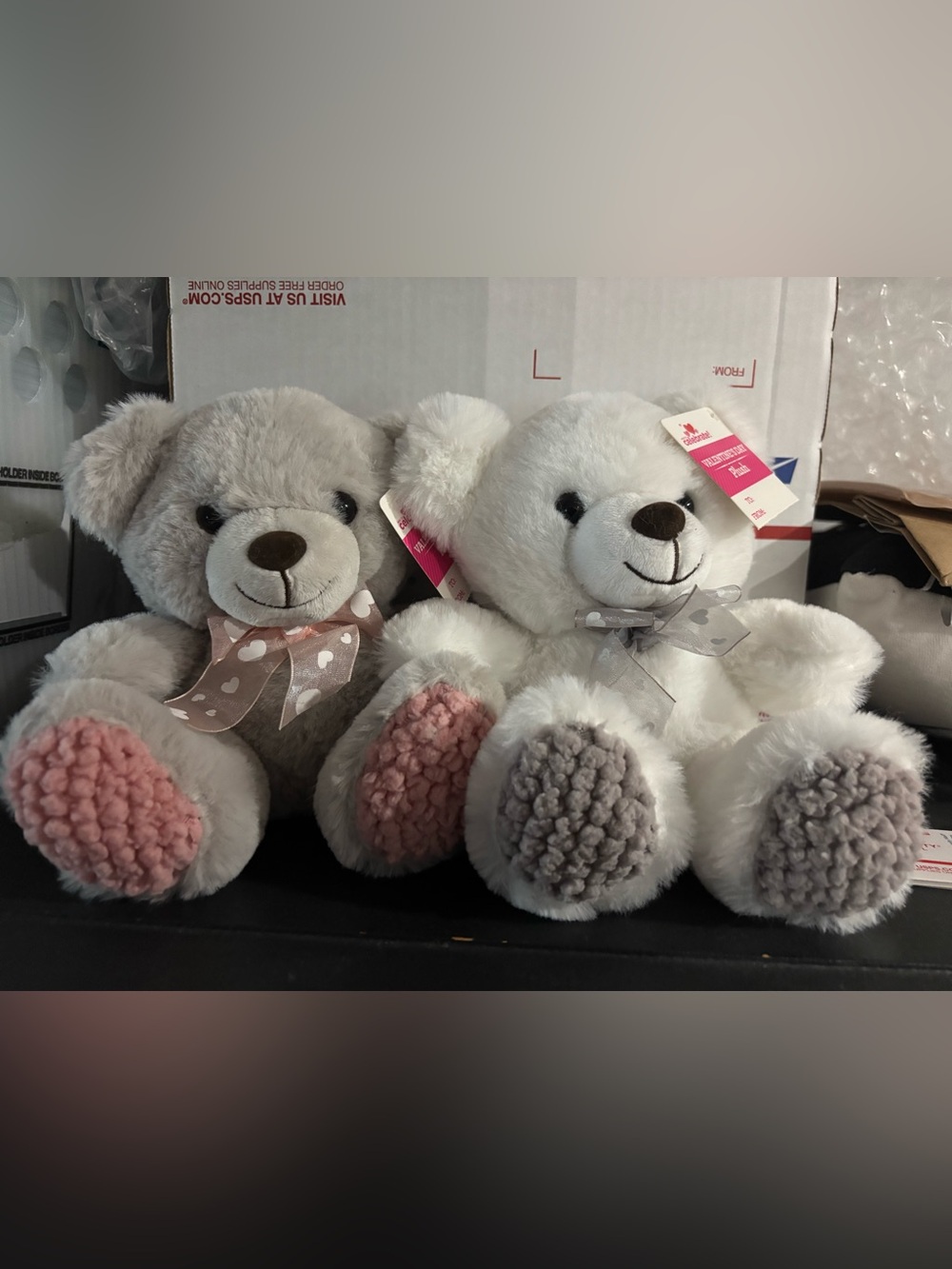 2 Plush Teddy Bears